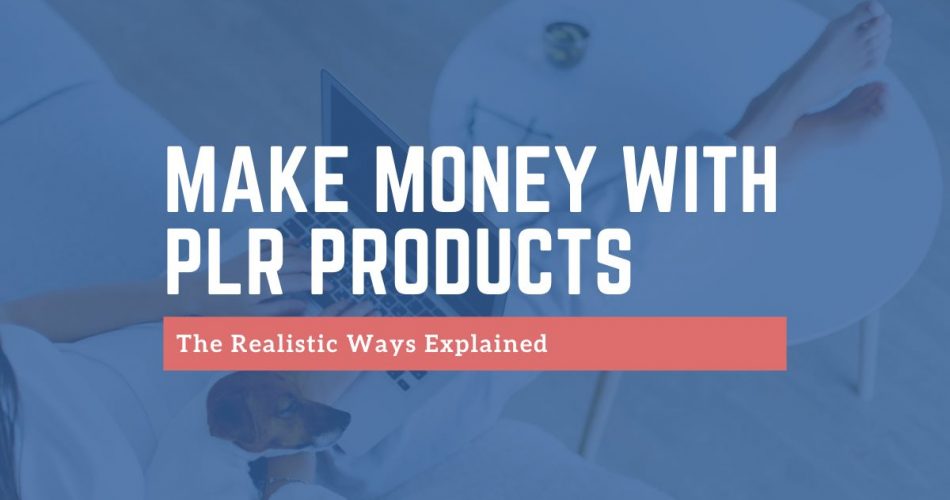 make money with plr products